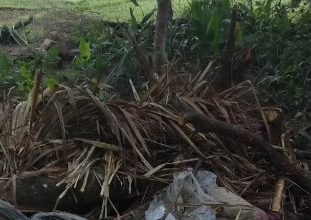 ନୟାଗଡ଼ରେ କାଳବୈଶାଖୀ ଆଣିଲା କାଳ, କୁଡ଼ିଆ ଉପରେ ଗଛ ପଡ଼ି ବୃଦ୍ଧଙ୍କ ମୃତ୍ୟୁ