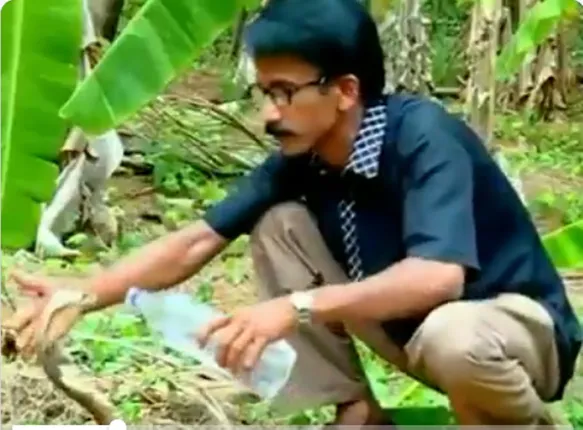 ଦେଖନ୍ତୁ କିପରି ଶୋଷିଲା ନାଗ ସାପକୁ ଅତି ଶ୍ରଦ୍ଧାରେ ବନବିଭାଗ ଅଧିକାରୀ ବୋତଲ୍‌ରେ ପାଣି ପିଆଉଛନ୍ତି