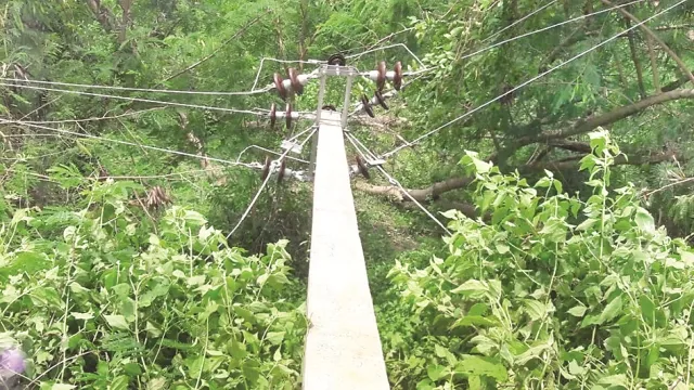 କାଳବୈଶାଖୀ ପ୍ରଭାବରେ ଗଛ ଭାଙ୍ଗିଲା, ତାର ଛିଣ୍ଡିଲା
