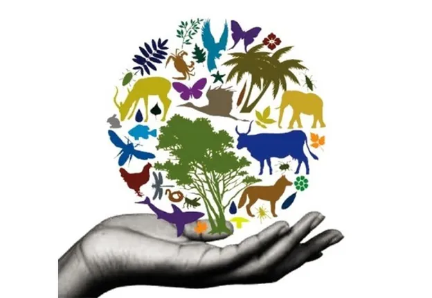 ଅନ୍ତର୍ଜାତୀୟ ଜୈବ ବିବିଧତା ଦିବସ: ପ୍ରସ୍ତୁତ ହେବ ଜନ ଜୈବ ବିବିଧତା ପଞ୍ଜିକା