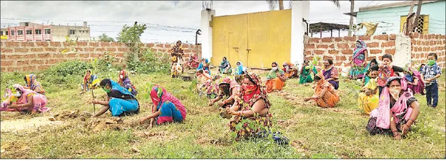 ଗୋଚର ଜମିରେ ରାସ୍ତା ନିର୍ମାଣକୁ ବିରୋଧ, ଗଛ ଲଗାଇ ଦଖଲକୁ ନେଲେ