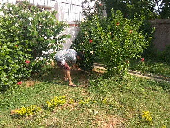 ମୟୁରଭଞ୍ଜରେ ୯ରେ ସ୍ଥିର ପଜିଟିଭଙ୍କ ସଂଖ୍ୟା, ଗୋଟିଏ ଦିନରେ ଆସିଲା ୨୨୫ ରିପୋର୍ଟ