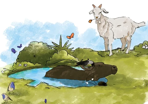 ଛେଳି ପାଇଲା ପାନେ