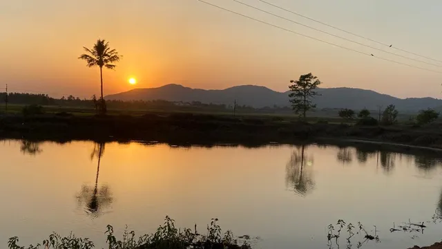 ପ୍ରକୃତିର ଅପୂର୍ବ ସୌନ୍ଦର୍ଯ୍ୟ । (ଫଟୋ: ତରୁଣ, ଜୟପୁର)
