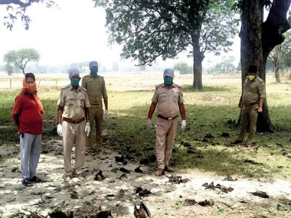 ଗୋରଖପୁର ଆମ୍ବ ତୋଟାରେ ବାଦୁଡ଼ି ମଡ଼କ, ଲୋକଙ୍କ ଭିତରେ ଭୟର ଆତଙ୍କ