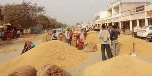 ମଣ୍ଡି ଖୋଲିବାରେ ବିଳମ୍ବ, ଛତିଶଗଡ଼କୁ ଧାନ ଚୋରା ଚାଲାଣ