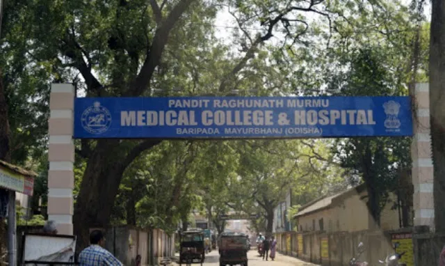 ଡାଳ ପଡ଼ି ଜଣଙ୍କର ମୃତ୍ୟୁ, ଜଣେ ଗୁରୁତର