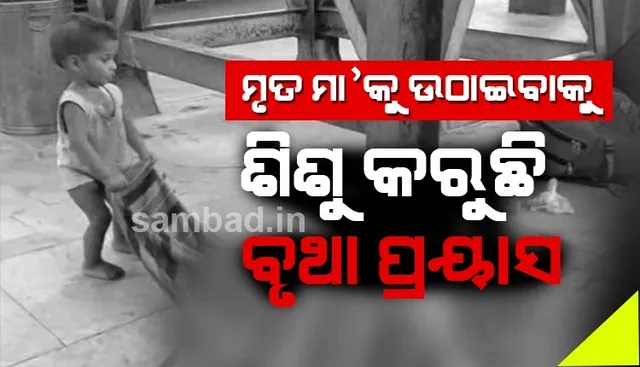 ସରୁନି ପ୍ରବାସୀ ଶ୍ରମିକଙ୍କ ଦୁଃଖ: ଭୋକ ଉପାସରେ ଚାଲିଗଲା ମହିଳାଙ୍କ ଜୀବନ, ଦେଖନ୍ତୁ କିଭଳି ଷ୍ଟେସନରେ ପଡିରହିଥିବା ମୃତ ମାକୁ ଉଠାଇବାକୁ ଚେଷ୍ଟା କରୁଛି ଶିଶୁ