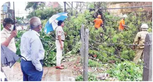 ଅମ୍ଫାନ ପ୍ରଭାବ:  ନିଆଳିରେ ଉଜୁଡ଼ିଲା ହଜାରେ ପାନବରଜ, ଜଣେ ମୃତ