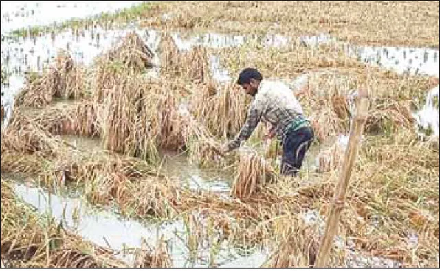 ବାଲେଶ୍ବରରେ ତିନି ହଜାର, ଭଦ୍ରକରେ ୧୩୭୩ ଗାଁ କ୍ଷତିଗ୍ରସ୍ତ