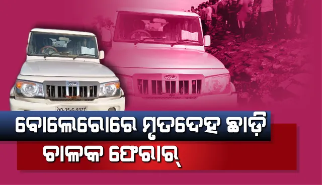 ବୋଲେରୋ ଭିତରେ ମୃତଦେହ ଛାଡ଼ି ଚାଳକ ଫେରାର୍, ମୃତକ ଜଣେ ହାଇୱ। ଡ୍ରାଇଭର୍