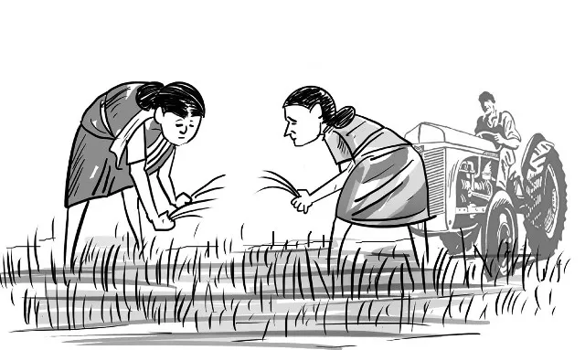 କୃଷି କ୍ଷେତ୍ରରେ ଚମକ ଆସି ପାରିବ