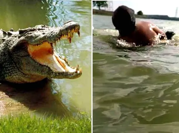 ପୁଅ ଆଗରେ ବାପାଙ୍କୁ ଟାଣିନେଲା କୁମ୍ଭୀର