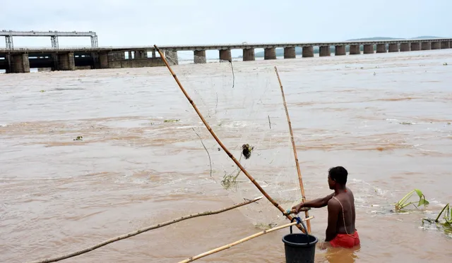 ମହାନଦୀର ବନ୍ୟା ଜଳରେ ମାଛ ଧରିବାରେ ଆନନ୍ଦ। (ଫଟୋ: ଚିତ୍ତରଂଜନ, କଟକ)