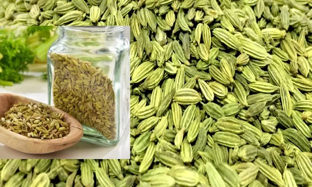 ତ୍ୱଚାର ଔଜ୍ୱଲ୍ୟ ବୃଦ୍ଧି ସହିତ ଓଜନ ହ୍ରାସ କରିବା ପାଇଁ ପ୍ରତିଦିନ ସେବନ କରନ୍ତୁ ପାନମଧୁରୀ