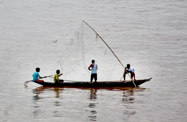 ନରାଜରେ ମାଛ ଧରୁଛନ୍ତି ମତ୍ସ୍ୟଜୀବୀ। (ଫଟୋ: ଚିତ୍ତ, କଟକ)