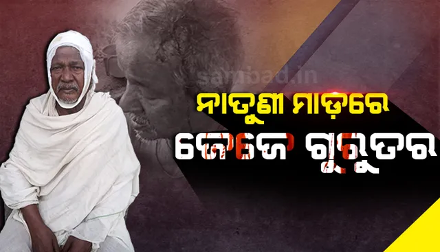 ନାତୁଣୀ ମାଡ଼ରେ ଜେଜେ ଗୁରୁତର