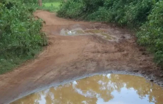 ଦିନିଆରୀ-ଆଦିବାସୀ ସାହି ରାସ୍ତା: ୫୦୦ ମିଟର ଯିବାକୁ ୩୦ ମିନିଟ