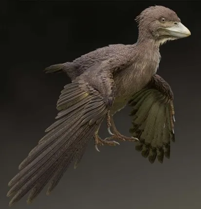 ଖୋଲା ଝରକା : ୧୨ କୋଟି ବର୍ଷ ତଳର ପାରା