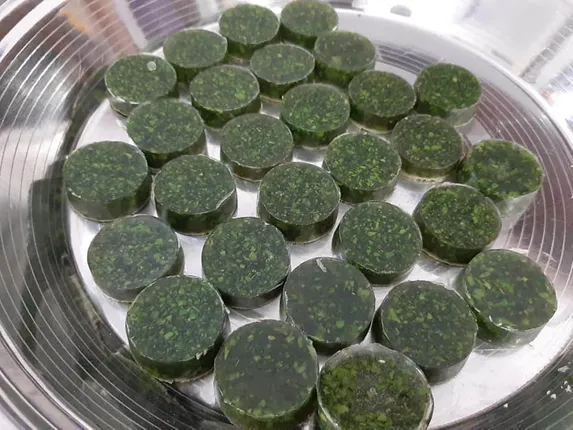 ଦେଶୀ ପଦ୍ଧତିରେ ସାବୁନ୍ ଓ ହ୍ୟାଣ୍ଡୱାସ୍, ଖର୍ଚ୍ଚ କାଟ କରିବା ସହ ଆତ୍ମନିର୍ଭରଶୀଳତାର ନିଦର୍ଶନ ପାଲଟିଲେ  ସେବା ସମାଜର ଛାତ୍ରୀ