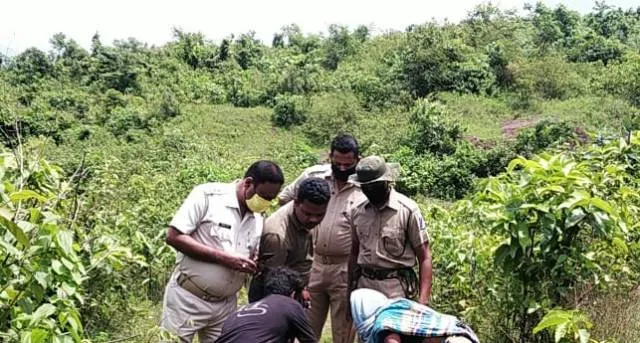 ବଡ଼ବିଲ ଥାନାର ଉଲିବୁରୁ ଜଙ୍ଗଲରୁ ୪୦ ବର୍ଷିୟ ଯୁବକର ମୃତଦେହ ଉଦ୍ଧାର