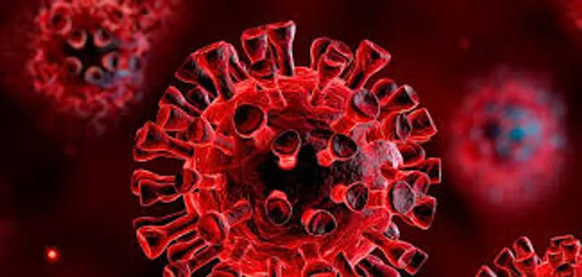 ମୟୂରଭଞ୍ଜରେ ବିଗୁଡ଼ୁଛି କରୋନା ସ୍ଥିତି : ମୋଟ ୩୧୭ ଆକ୍ରାନ୍ତଙ୍କ ମଧ୍ୟରୁ ୭୫ ସ୍ଥାନୀୟ ସଂକ୍ରମିତ