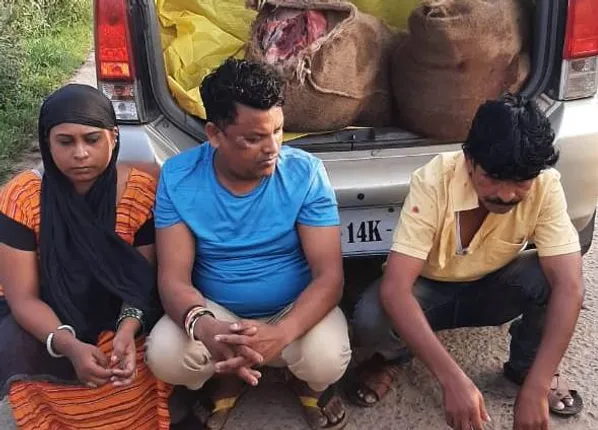 ରାଉରକେଲାରେ ଗୋରୁ ବୋଝେଇ ପିକଅପ ଜବତ: ୧୧ ଗୋରୁ ଉଦ୍ଧାର, ଜଣେ ଗିରଫ