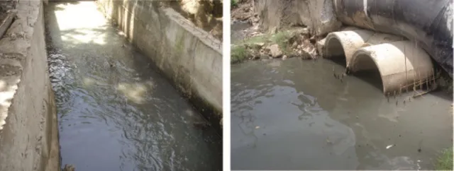 ବର୍ଜ୍ୟଜଳ ପ୍ରବେଶରେ ମହାନଦୀ ପ୍ରଦୂଷିତ, ପଠାରେ ବେଆଇନ ବହୁତଳ ପ୍ରାସାଦ