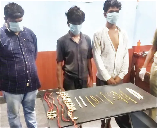 ସିନ୍ଧି ଚୋର ଗ୍ୟାଙ୍ଗ୍‌ର ୩ ଗିରଫ, ୨୯୧ ଗ୍ରାମ୍‌ ଓଜନର ଅଳଙ୍କାର ଜବତ