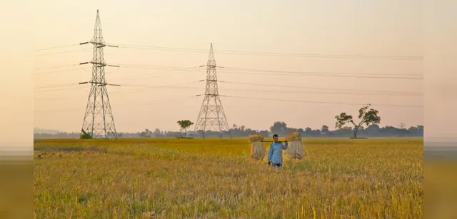 ବିଦ୍ୟୁତ ଆଘାତରେ ଦୁଇ ବଳଦଙ୍କ ମୃତ୍ୟୁ; ମାଲିକ ପାତକ ପାପର କରୁଛନ୍ତି ପ୍ରାୟଶ୍ଚିତ