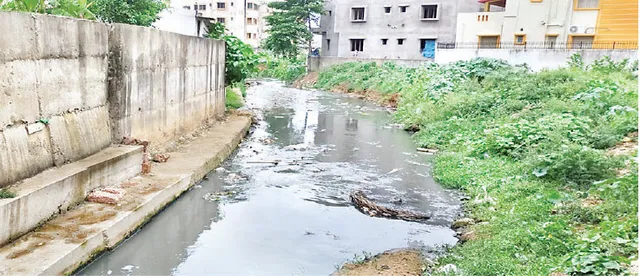 ଡମଣା ଅଞ୍ଚଳକୁ ଘାରିଲାଣି ଜଣ୍ଡିସ୍ ଭୟ