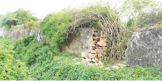 ମରାମତି ହେଉନି ପାଚେରି ଓ ଟ୍ରେଞ୍ଚ୍‌, ରାଜଧାନୀକୁ ହାତୀ ଭୟ