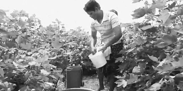 କଳାହାଣ୍ତି କ’ଣ ଦାରିଦ୍ର୍ୟର ପ୍ରତୀକ?