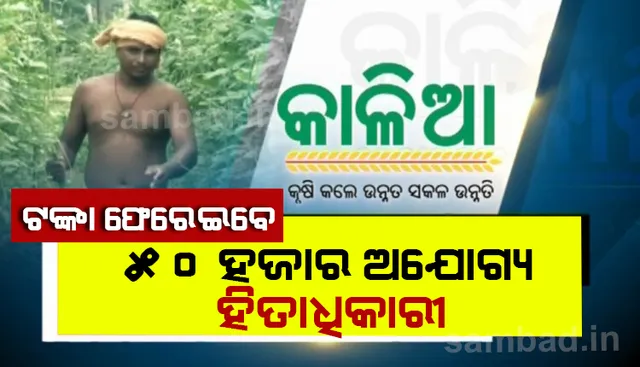 ୫୦ ହଜାର ଅଯୋଗ୍ୟ ହିତାଧିକାରୀ ଫେରାଇବେ କାଳିଆ ଟଙ୍କା