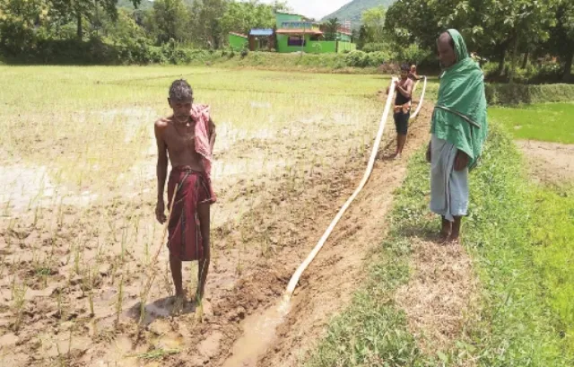 ରଣପୁର : ଶ୍ରାବଣରେ ବର୍ଷା ଉଭାନ, ମରୁଡ଼ି ଆଶଙ୍କାରେ ଚାଷୀ