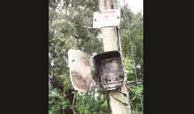 ଛିଡ଼ିପଡ଼ିଲା ୩୩ କେଭି ବିଦ୍ୟୁତ୍‌ ତାର, ଅଳ୍ପକେ ବର୍ତ୍ତିଲେ ଗ୍ରାମବାସୀ