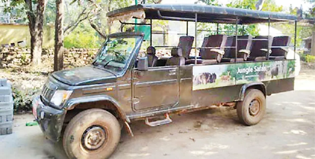 ଜଙ୍ଗଲ ସଫାରିରେ ତାଲା, ୪ ମାସ ହେଲା ଗଡ଼ୁନି ୫ ସଫାରି