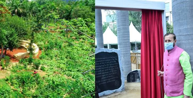 ସିଏଜି କାର୍ଯ୍ୟାଳୟରେ ସହରୀ ଜଙ୍ଗଲ ଉଦ୍‌ଘାଟିତ