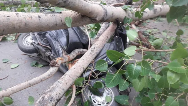 ସ୍କୁଟିରେ ସ୍ୱାମୀ-ସ୍ତ୍ରୀ ଘରକୁ ଫେରୁଥିବା ବେଳେ ଭାଙ୍ଗି ପଡ଼ିଲା ଅଶ୍ୱସ୍ତଗଛର ଡାଳ, ଘଟଣାସ୍ଥଳରେ ସ୍ୱାମୀଙ୍କ ମୃତ୍ୟୁ ପରେ ପତ୍ନୀ ମୃତ୍ୟୁ ସହ କରୁଛନ୍ତି ସଂଘର୍ଷ