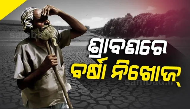 ଗଞ୍ଜାମରେ ମରୁଡ଼ିର ପଦଧ୍ୱନୀ!, ଶ୍ରାବଣରେ ବର୍ଷା ନିଖୋଜ