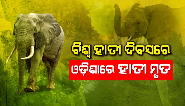 ବିଶ୍ୱ ହାତୀ ଦିବସରେ ଓଡ଼ିଶାରେ ହାତୀ ମୃତ