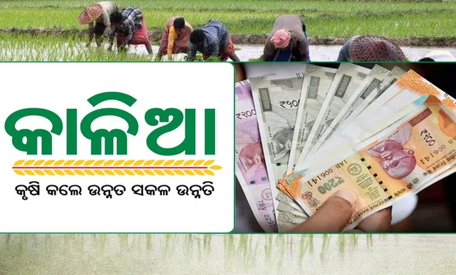ପୁରୀ ଜିଲ୍ଲା ଚାଷୀଙ୍କ ପାଇଁ କାଳିଆ ସହାୟତା ଘୋଷଣା: ୧,୬୫,୧୩୧ ଚାଷୀ ପାଇବେ ୩୩ କୋଟି ଟଙ୍କା