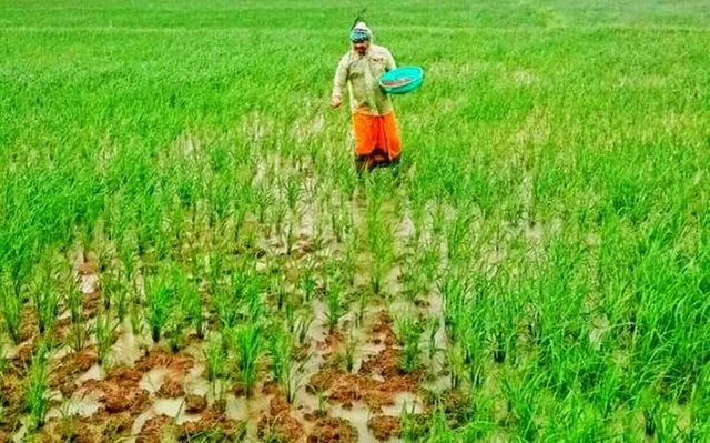 ତିନିଥର ବିଧାୟକ ହୋଇ ମଧ୍ୟ ବର୍ଷକୁ ଦୁଇ ମାସ ଧାନକ୍ଷେତରେ କାମ କରୁଥିବା ଓଡ଼ିଶା ବିଧାୟକଙ୍କୁ ଉପରାଷ୍ଟ୍ରପତିଙ୍କ ପ୍ରଶଂସା