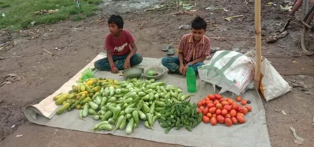 ପରିବା ବିକି କୁଟୁମ୍ବ ପୋଷୁଛନ୍ତି ଦୁଇ ନାବାଳକ ଭାଇ