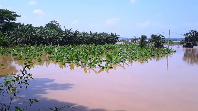 ଜିଲ୍ଲାରେ ୧୨୫୩.୨୯ ହେକ୍ଟର ଚାଷ ଜମି ପ୍ରଭାବିତ, ୫୮ ଲକ୍ଷ ୯୭ହଜାରରୁ ଅଧିକ ଇନପୁଟ ସବସିଡ୍ ମଗାଗଲା