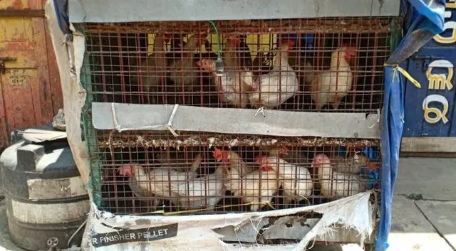 ବାଲେଶ୍ୱର ସଟ୍‌ଡାଉନ୍‌, ଦୁଇ ଦିନ ପାଇଁ ତ୍ରାହି। (ଫଟୋ: ମନୋଜ ବିଶ୍ୱାଳ)