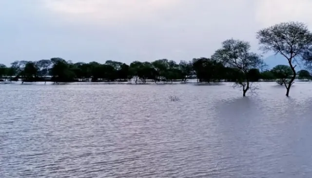 ବୌଦ୍ଧ: ବିପଦ ସଂକେତ ଉପରେ ମହାନଦୀ ପ୍ରବାହିତ