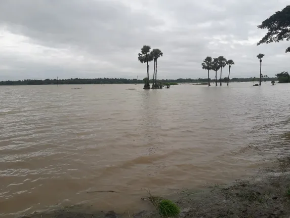 ଯାଜପୁରରେ ପ୍ରବଳ ବର୍ଷା ପରେ ବନ୍ୟା ସ୍ଥିତି। (ଫଟୋ: ସଂଗ୍ରାମ)