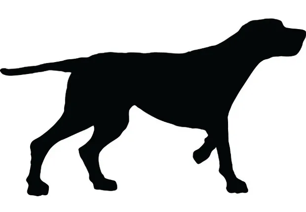 କୁକୁର ମୃତ୍ୟୁକୁ ନେଇ ଥାନାରେ ଏତଲା