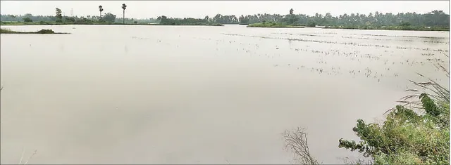 ଅସରାଏ ବର୍ଷାରେ ଗହୀର ବୁଡ଼ିଲା, ଚାଷୀ ଆଶ୍ବସ୍ତ